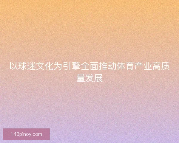 以球迷文化为引擎全面推动体育产业高质量发展 以球迷文化为引擎全面推动体育产业高质量发展